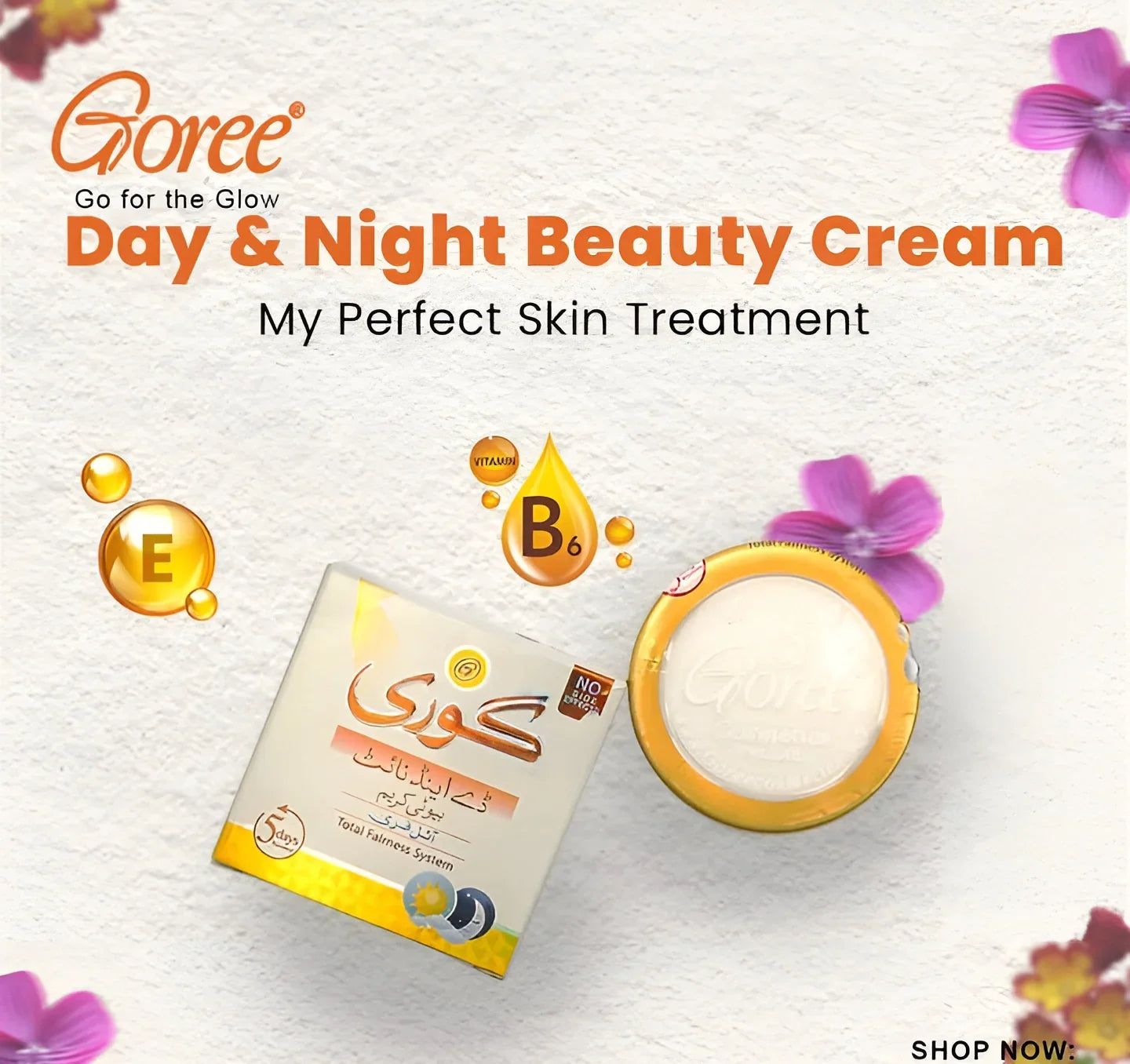 Goree Day & Night Beauty Cream packaging with cream container and text on a light background